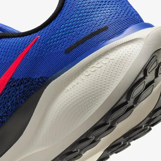 Кросівки Nike Air Zoom Pegasus 41 FD2722-401
