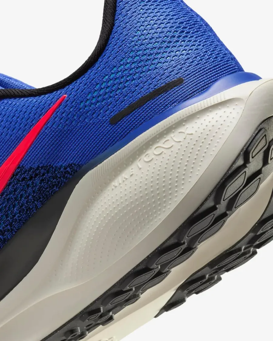 Кросівки Nike Air Zoom Pegasus 41 FD2722-401