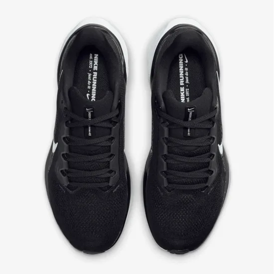 Кросівки Nike Pegasus 41 FD2723-002