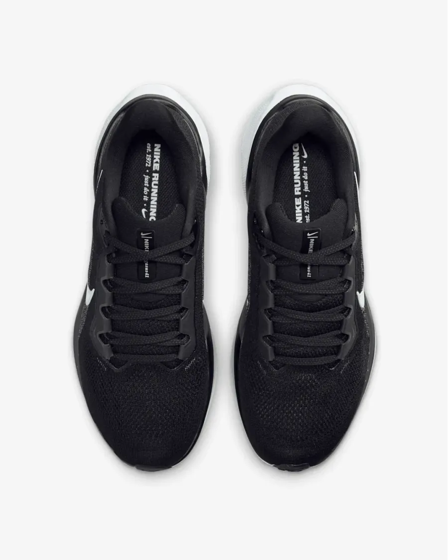 Кросівки Nike Pegasus 41 FD2723-002