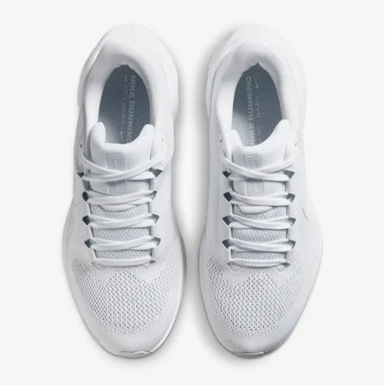 Кросівки Nike Pegasus 41 FD2723-102