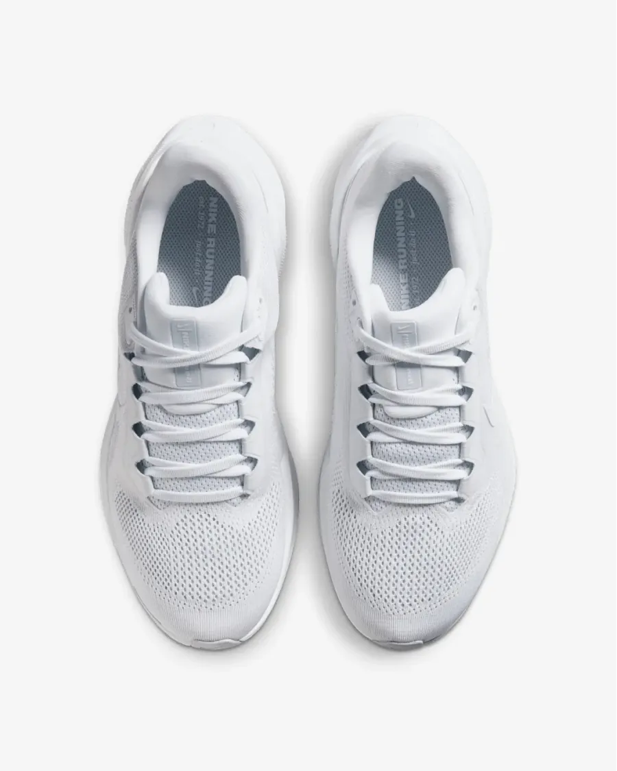Кросівки Nike Pegasus 41 FD2723-102