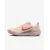 Кросівки Nike Pegasus 41 FD2723-802