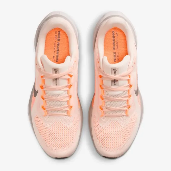 Кросівки Nike Pegasus 41 FD2723-802