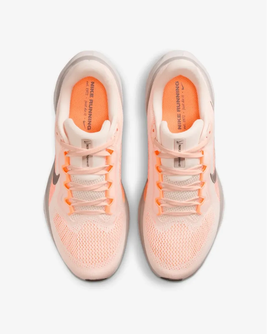 Кросівки Nike Pegasus 41 FD2723-802