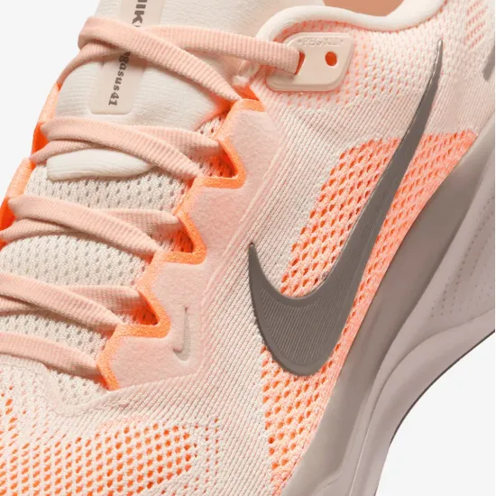 Кросівки Nike Pegasus 41 FD2723-802