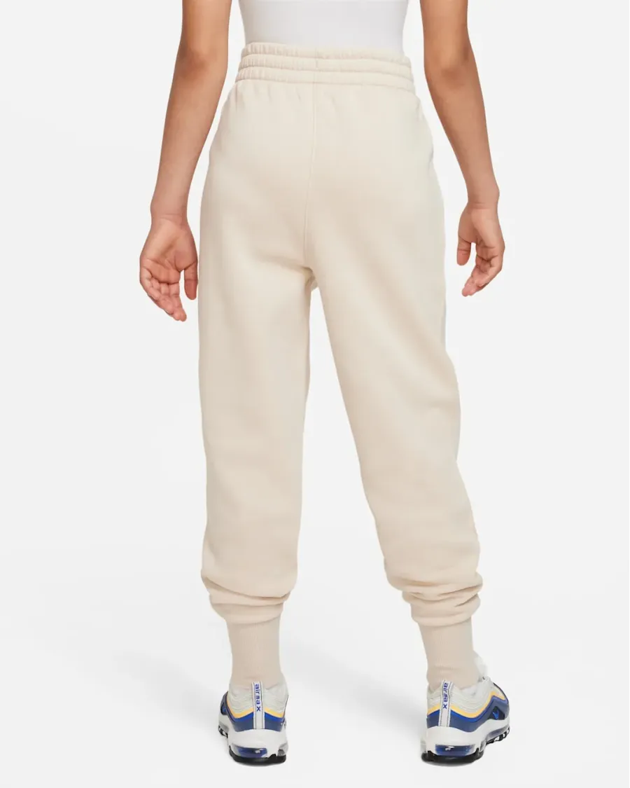 Штани Nike Sportswear Club Fleece Joggers FD2921-126