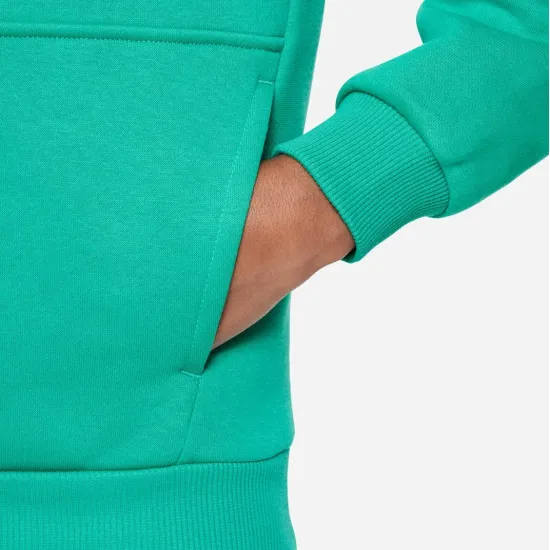 Худі Nike Sportswear Club Fleece FD2988-324