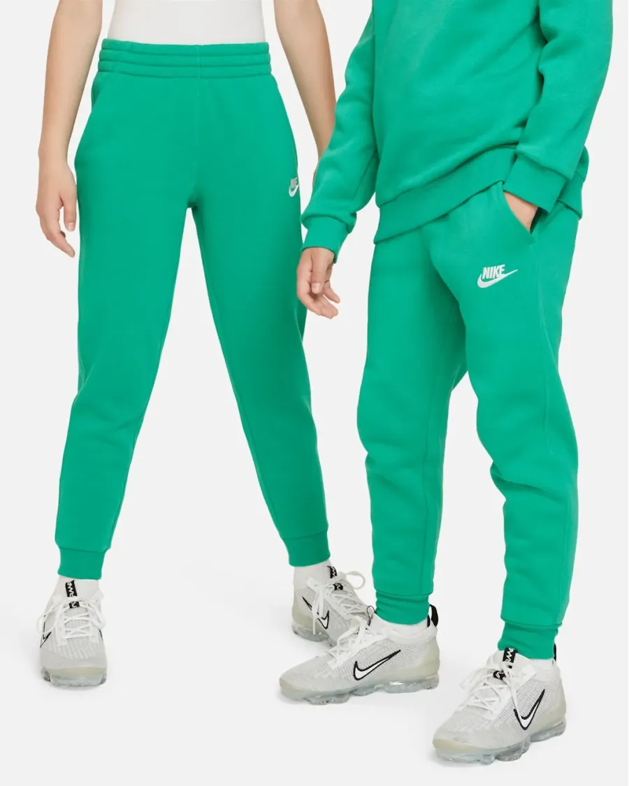 Штани Nike Sportswear Club Fleece Jogger LBR FD3008-324