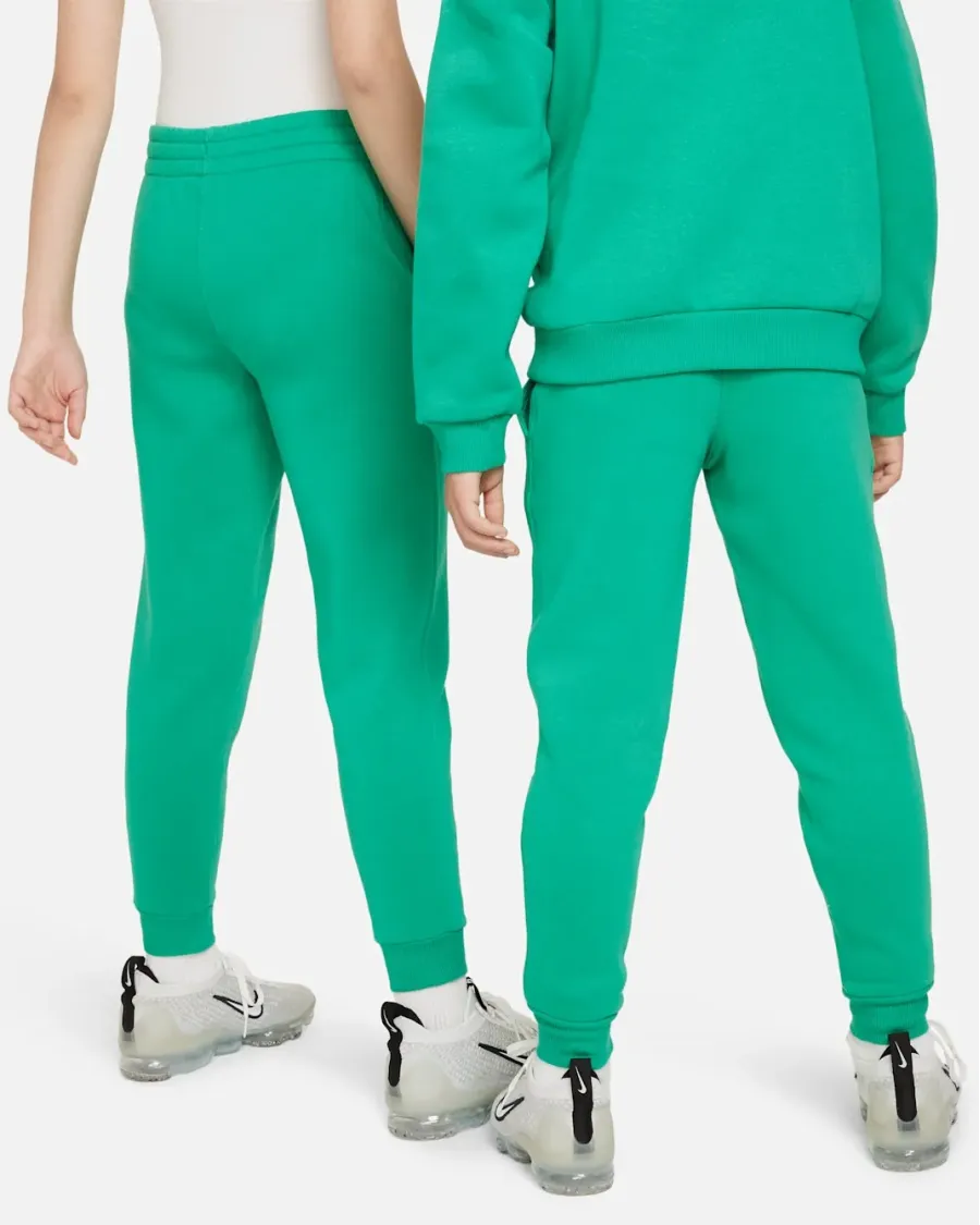 Штани Nike Sportswear Club Fleece Jogger LBR FD3008-324