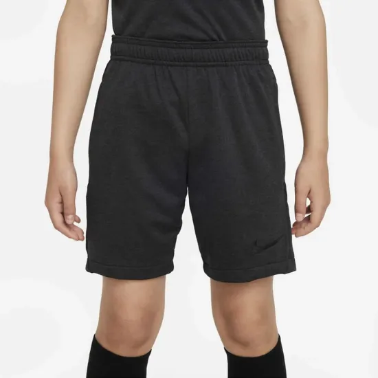 Шорти Nike Dri-FIT Academy Pro FD3139-010