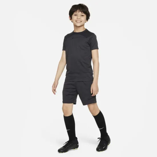 Шорти Nike Dri-FIT Academy Pro FD3139-010