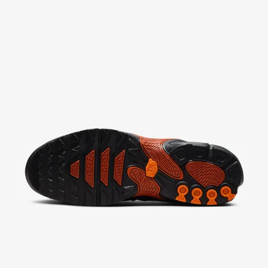 Кросівки Nike Air Max Plus Drift FD4290-010