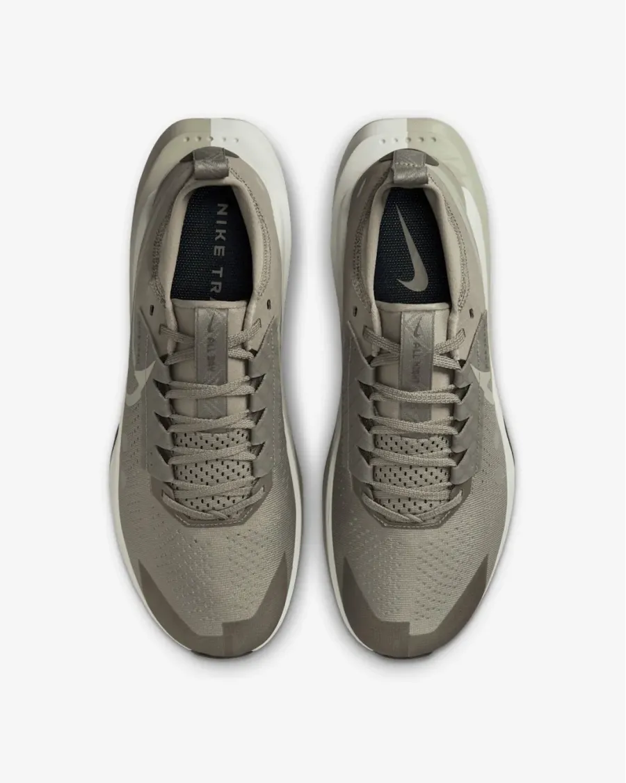 Кросівки Nike ZoomX Zegama Trail 2 FD5190-301