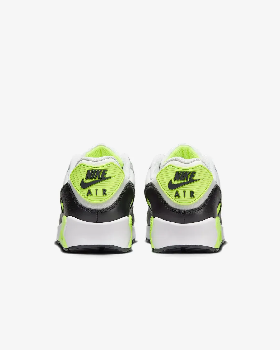 Кросівки Nike Air Max 90 Gore-Tex FD5810-102