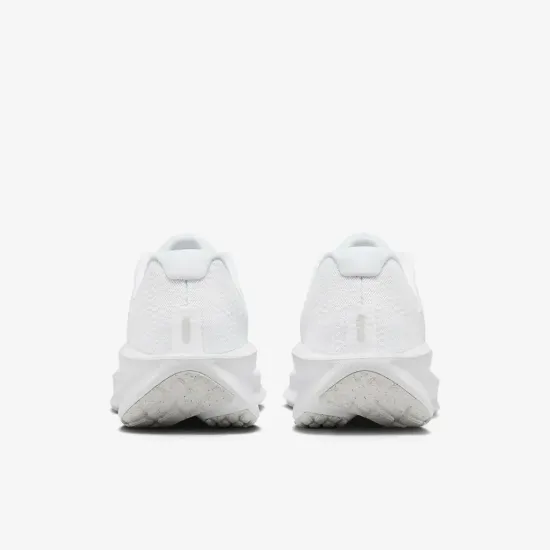 Кросівки Nike Downshifter 13 Road Running FD6454-100