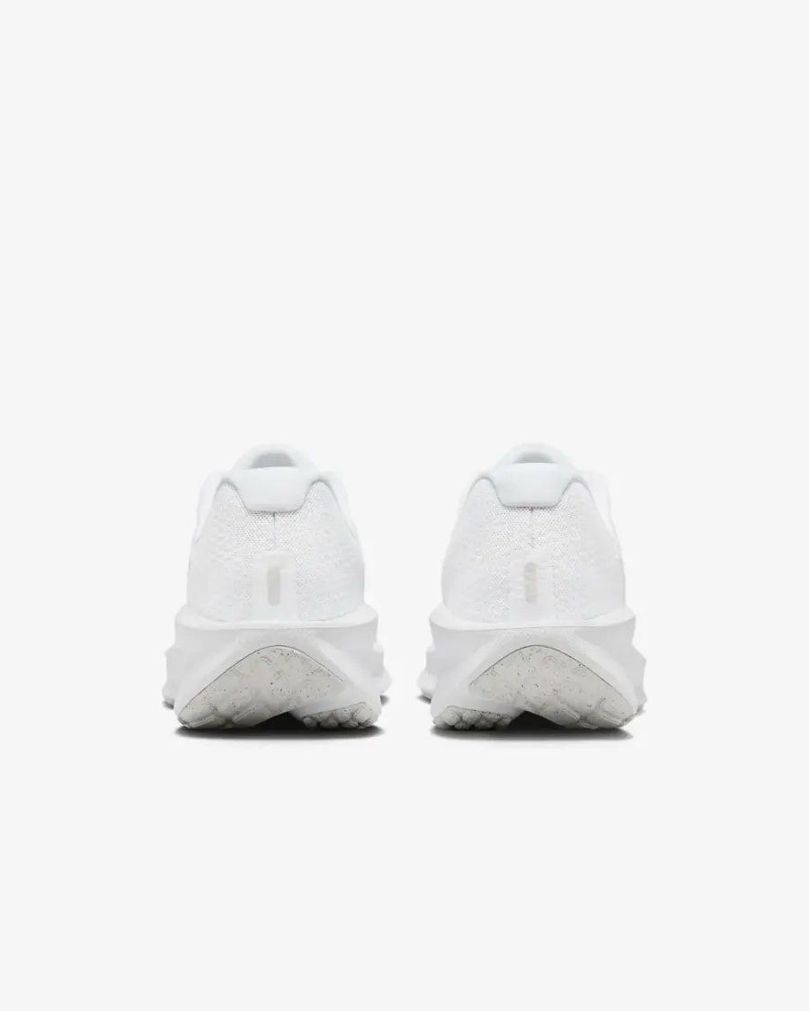 Кросівки Nike Downshifter 13 Road Running FD6454-100
