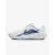 Кросівки Nike Downshifter 13 Road Running FD6454-103