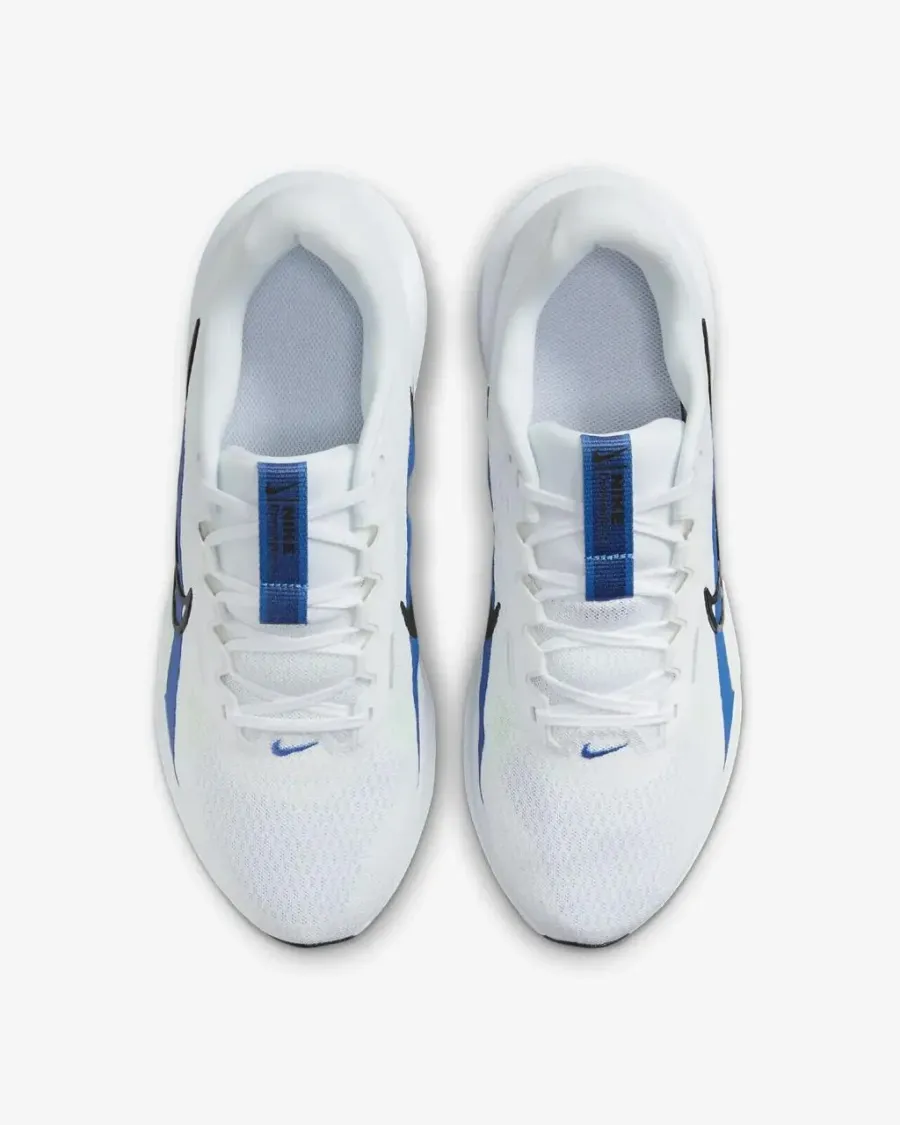 Кросівки Nike Downshifter 13 Road Running FD6454-103