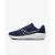 Кросівки Nike Downshifter 13 Road Running FD6454-400