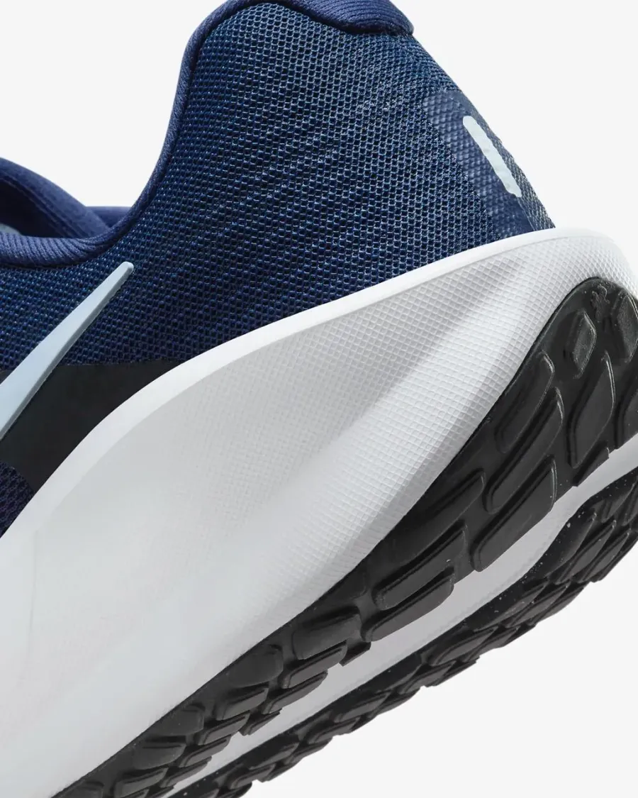 Кросівки Nike Downshifter 13 Road Running FD6454-400