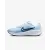 Кросівки Nike Downshifter 13 FD6476-401