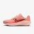 Кросівки Nike Downshifter 13 FD6476-801
