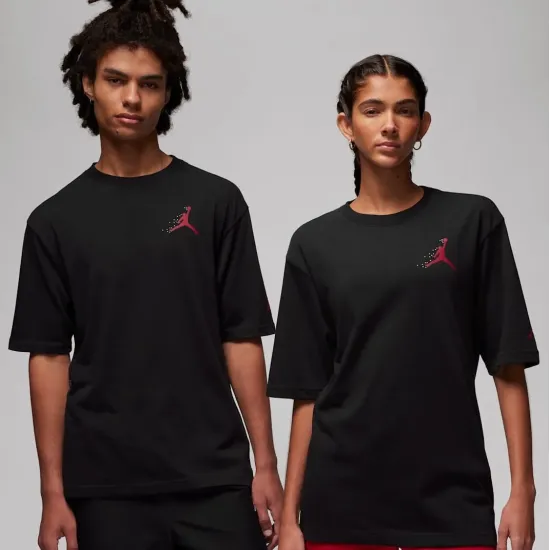 Футболка Nike Air Jordan Essentials Holiday Crew FD7010-010