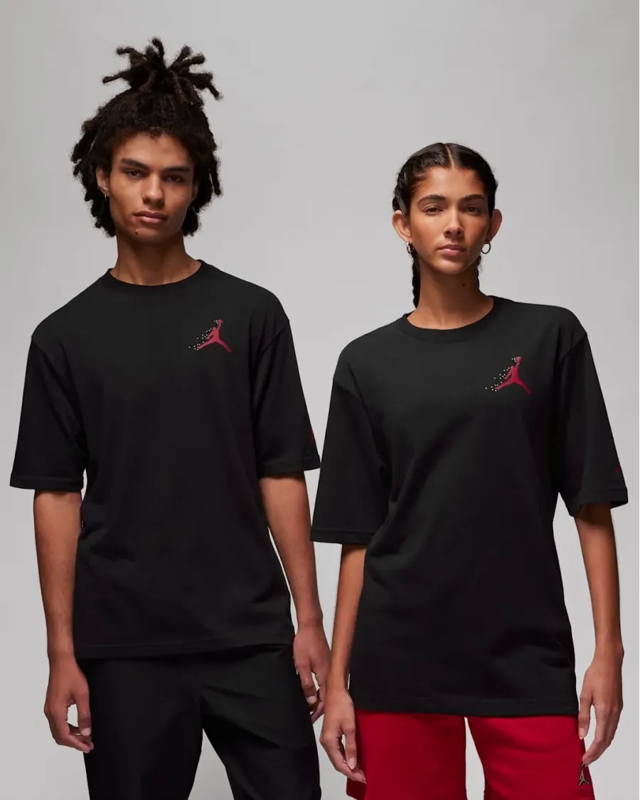 Футболка Nike Air Jordan Essentials Holiday Crew FD7010-010