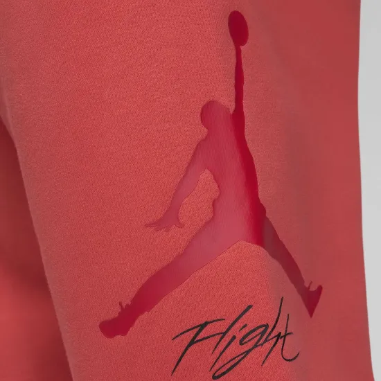 Спортивні штани Nike Air Jordan Essentials Fleece Baseline FD7345-604