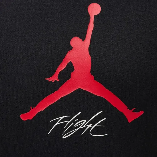 Кофта Nike Air Jordan Essentials Fleece Baseline FD7545-013