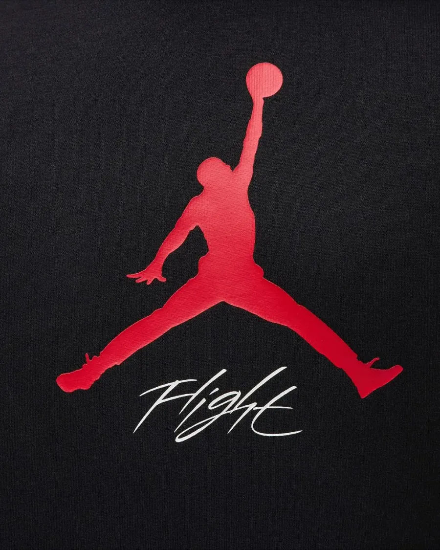 Кофта Nike Air Jordan Essentials Fleece Baseline FD7545-013