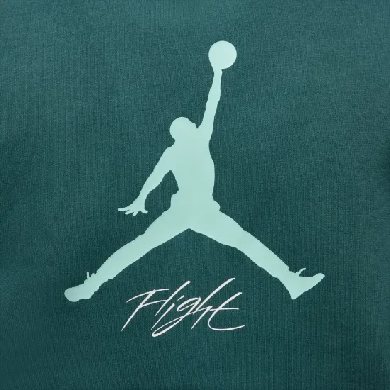 Кофта Nike Air Jordan Essentials Fleece Baseline FD7545-366