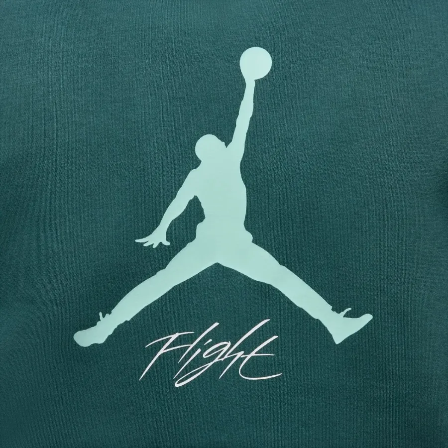 Кофта Nike Air Jordan Essentials Fleece Baseline FD7545-366