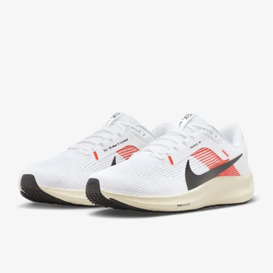 Кросівки Nike Pegasus 40 FJ0686-100