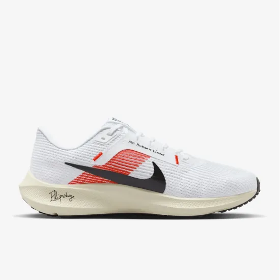 Кросівки Nike Pegasus 40 FJ0686-100