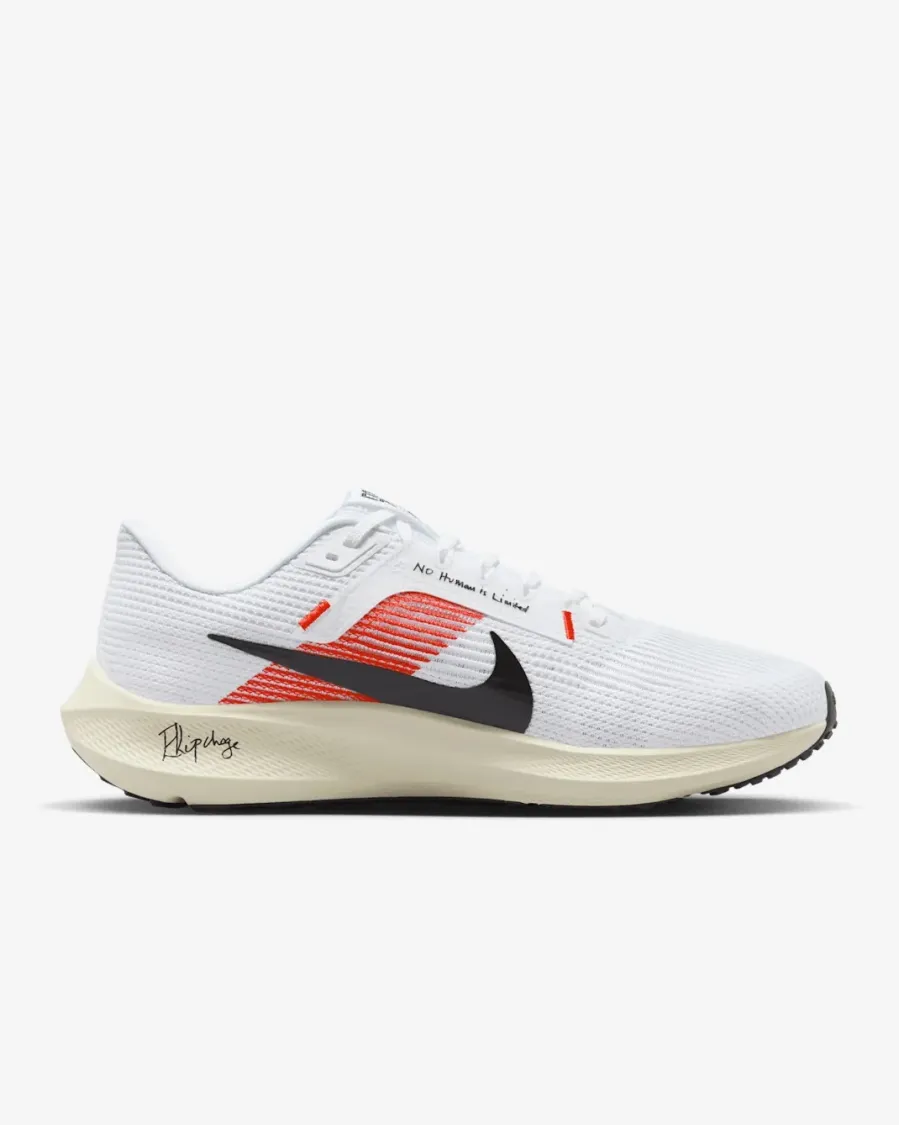 Кросівки Nike Pegasus 40 FJ0686-100