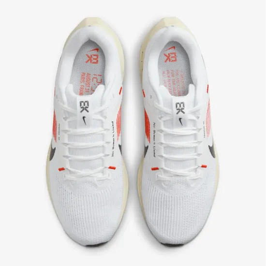 Кросівки Nike Pegasus 40 FJ0686-100