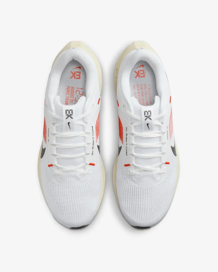 Кросівки Nike Pegasus 40 FJ0686-100