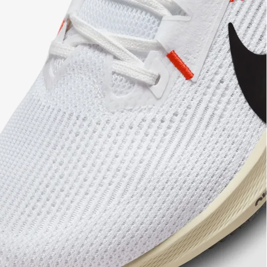 Кросівки Nike Pegasus 40 FJ0686-100