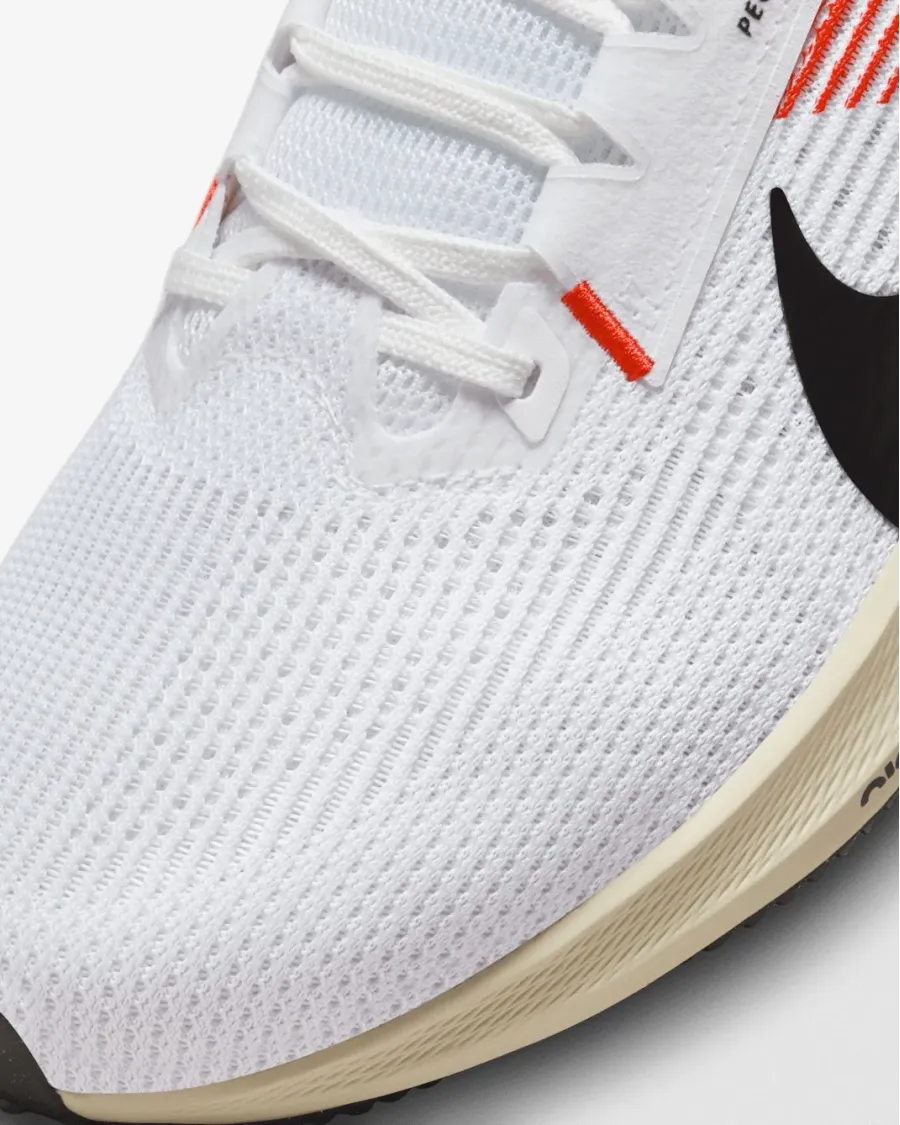 Кросівки Nike Pegasus 40 FJ0686-100
