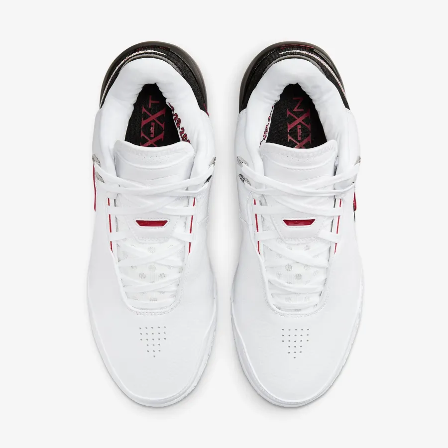 Кросівки Nike LeBron NXXT Gen AMPD FJ1566-100