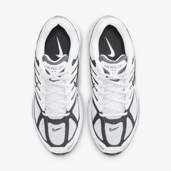 Кросівки Nike Air Pegasus 2K5 FJ1909-100