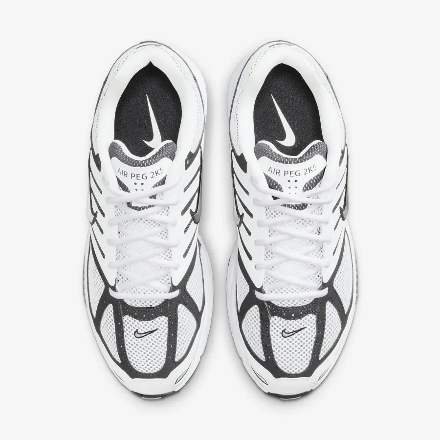Кросівки Nike Air Pegasus 2K5 FJ1909-100