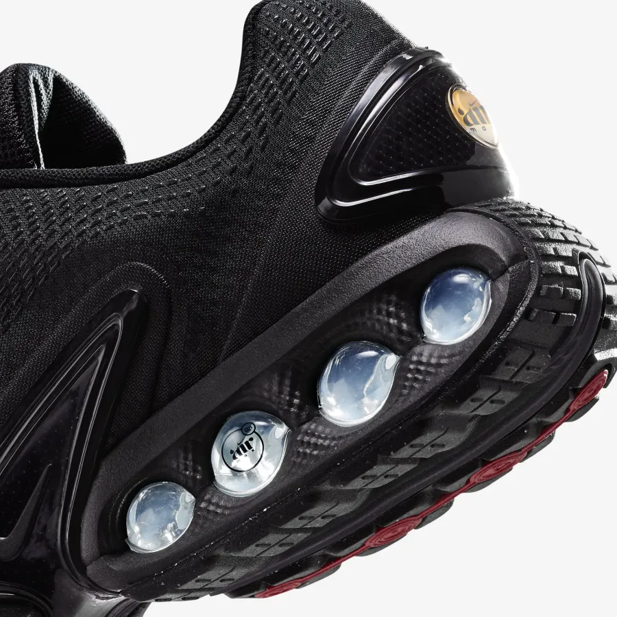 Кросівки Nike Air Max DN FJ3145-003