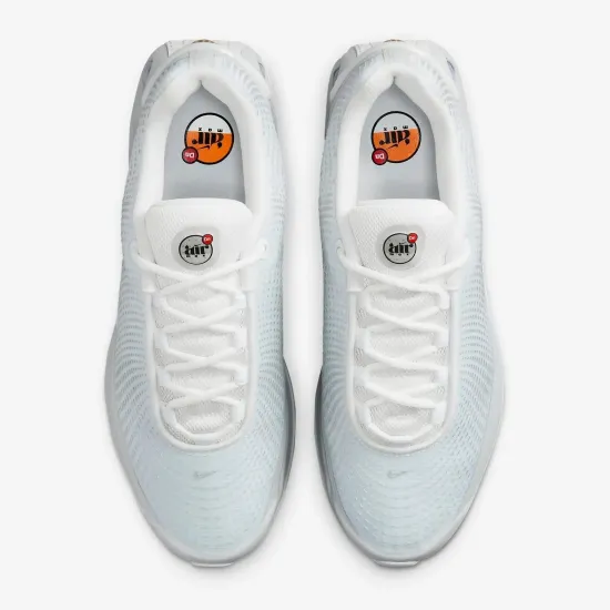 Кросівки Nike Air Max DN FJ3145-100