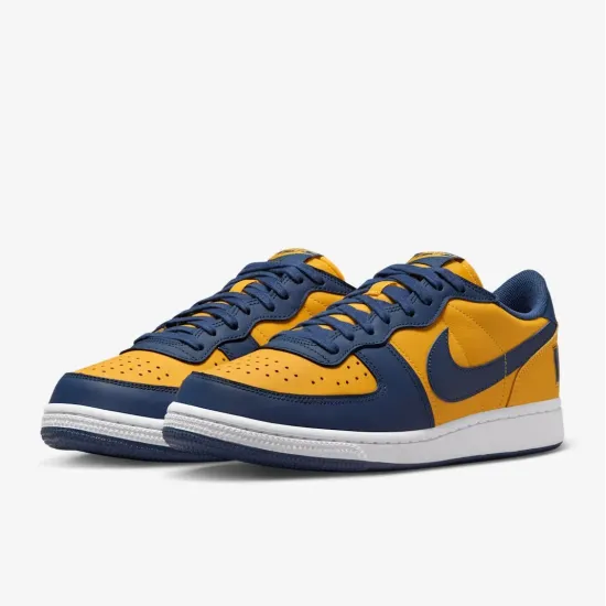 Кросівки Nike Terminator Low FJ4206-700