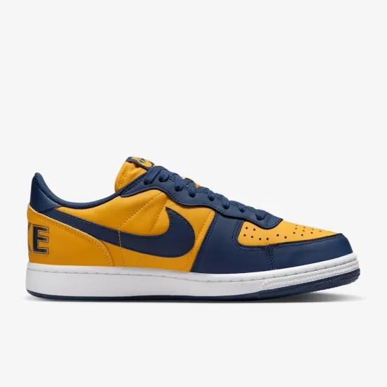 Кросівки Nike Terminator Low FJ4206-700