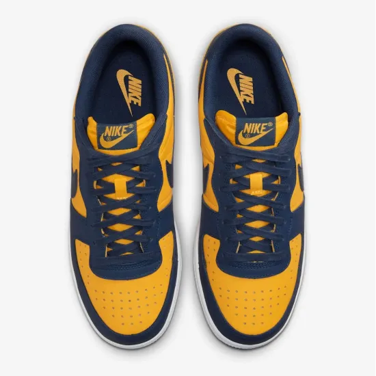 Кросівки Nike Terminator Low FJ4206-700