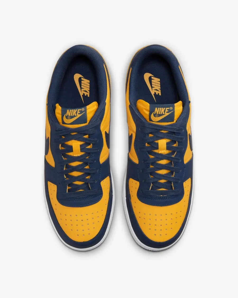 Кросівки Nike Terminator Low FJ4206-700